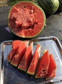 网红吃瓜酒店,揭秘网红们的“秘密基地”