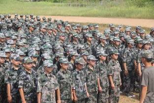 军训最新爆料,最新爆料揭秘神秘训练内容