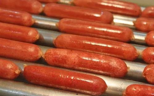 网红烤肠音频下载,揭秘美食背后的故事与魅力